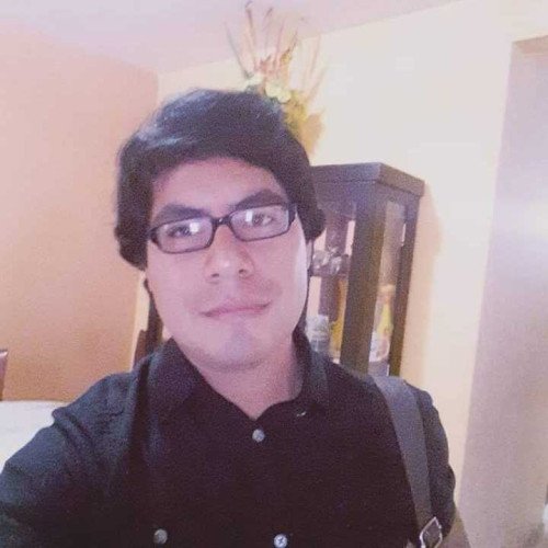 Michael Henry Palacios Acuña