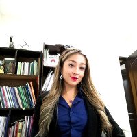 Un instrumento de eficacia del derecho ambiental: la planificación ecológica complementaria a la planificación territorial de desarrollo integral– un planteamiento para Bolivia