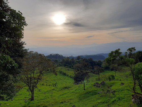 Contratar con sabiduría