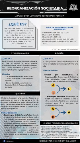 ENFOQUE CORPORATIVO: Reorganización Societaria