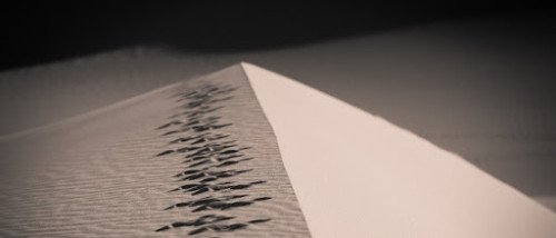 La cesión del derecho de crédito como sucesión a título particular