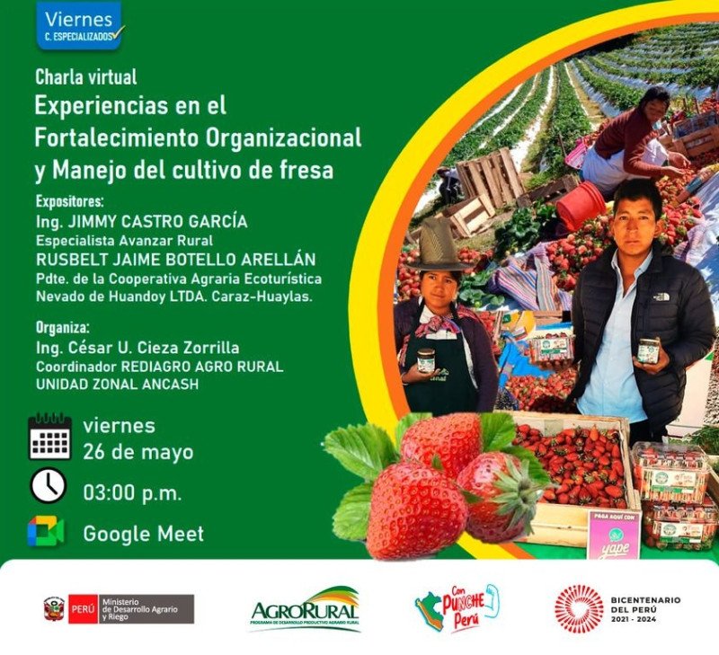 Charla virtual "Experiencias en el Fortalecimiento Organizacional y Manejo del cultivo de fresa" de Agro Rural
