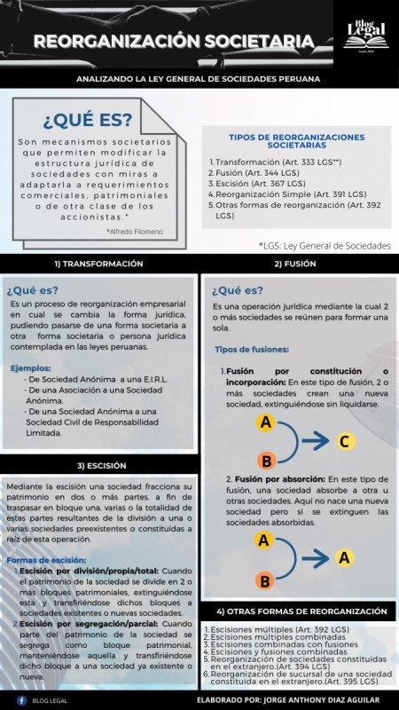 ENFOQUE CORPORATIVO: Reorganización Societaria