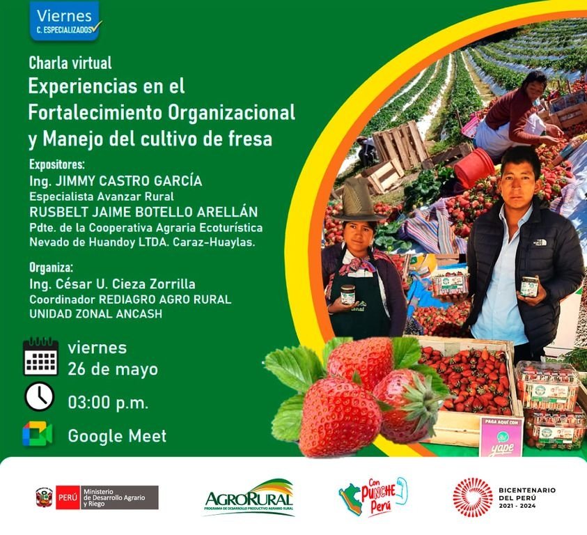 Charla virtual "Experiencias en el Fortalecimiento Organizacional y Manejo del cultivo de fresa" de Agro Rural
